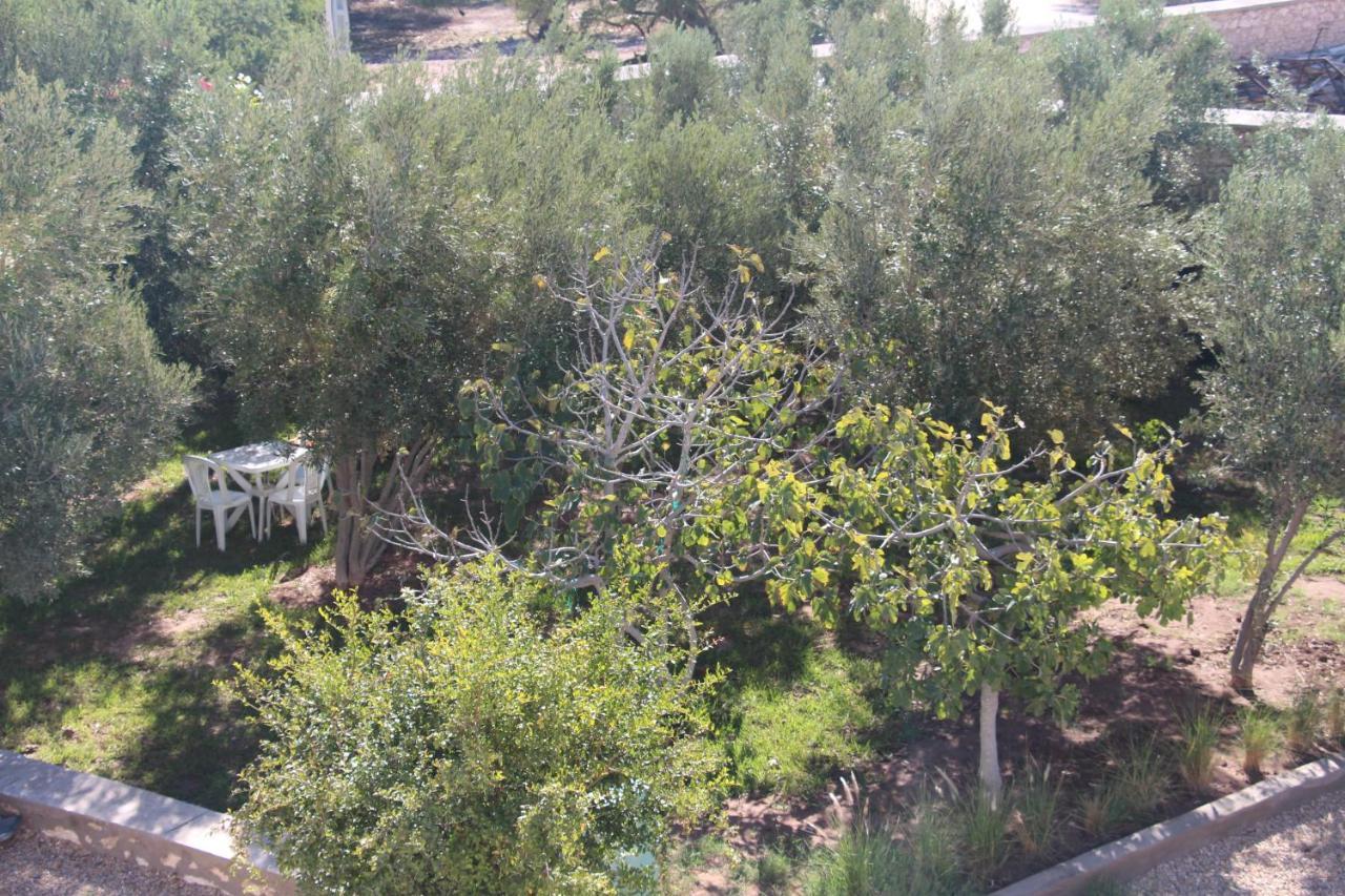 Les Jardins Fleuris Bed & Breakfast Essaouira Eksteriør bilde